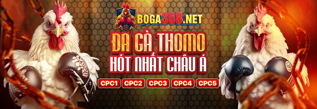 Cá cược đá gà Sodo777